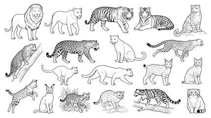 Vintage wild cats line art collection, hand drawn big cat sketches with lion and tiger, 18 black and white feline animal vector illustrations © Fahad