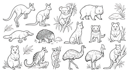Australian animals line art collection, 15 hand drawn vector icons of wildlife, kangaroo koala and wombat sketches for coloring book © Fahad