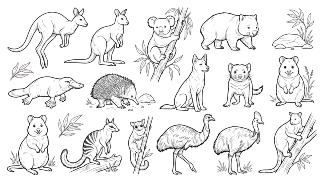 Australian animals line art collection, 15 hand drawn vector icons of wildlife, kangaroo koala and wombat sketches for coloring book
