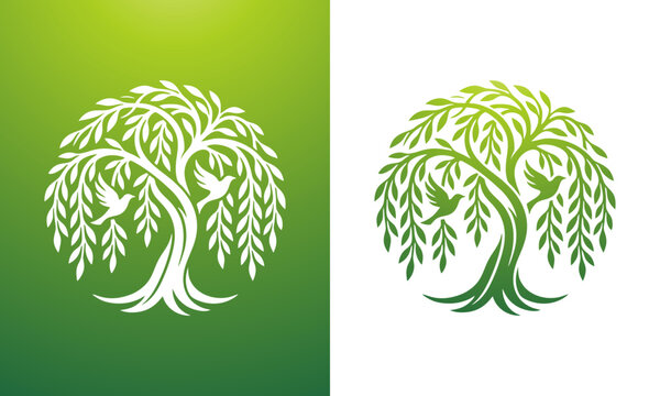Stylized willow tree logo ill...