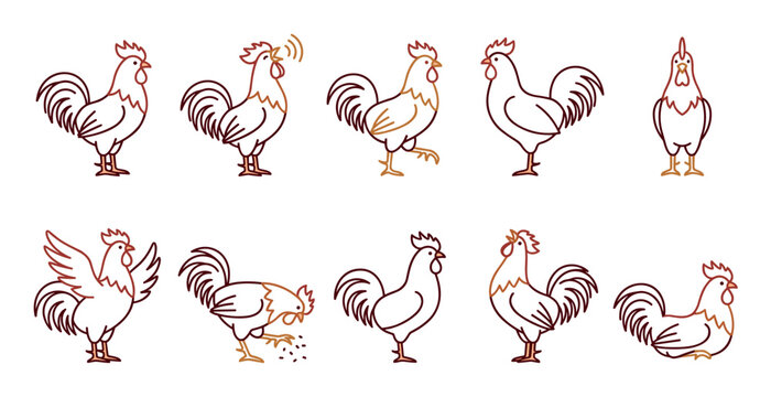Rooster chicken farm animal line art illustrations set depicting various poses and actions with a simple, modern, two-tone outline style.