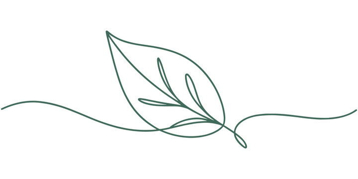 Minimalist green leaf outline continuous one line drawing in white background