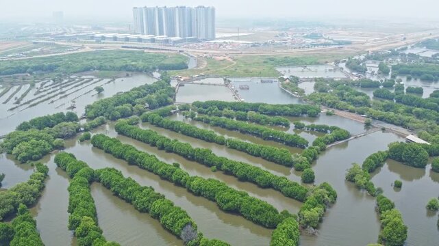 An aerial shot showing mangrove wetland and a modern urban cityscape with high-rise buildings and a highway. Great for projects on urbanization, real estate, Mangrove near city