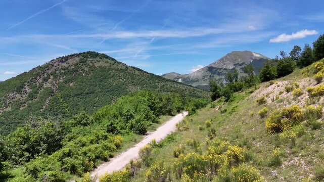 Panorama montano dal Monte Petria nelle Marche, con una chiara vista sulle vette dell'Appennino marchigiano e su un sentiero sterrato che attraversa i pendii verdi