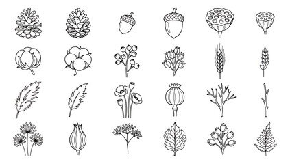 Minimalist botanical line art icons, set of 24 autumn forest elements vector, black and white floral nature symbols for seasonal branding © Farah-Studio