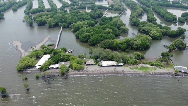 An aerial shot showing mangrove wetland and a modern urban cityscape with high-rise buildings and a highway. Great for projects on urbanization, real estate, Mangrove near city
