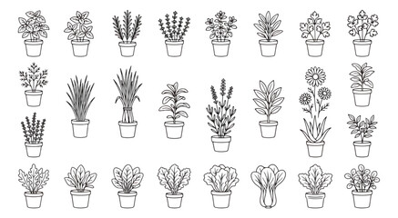 Minimalist herb plant line icons, collection of 25 potted culinary herbs and garden greenery, black and white vector botanical illustrations © Farah-Studio