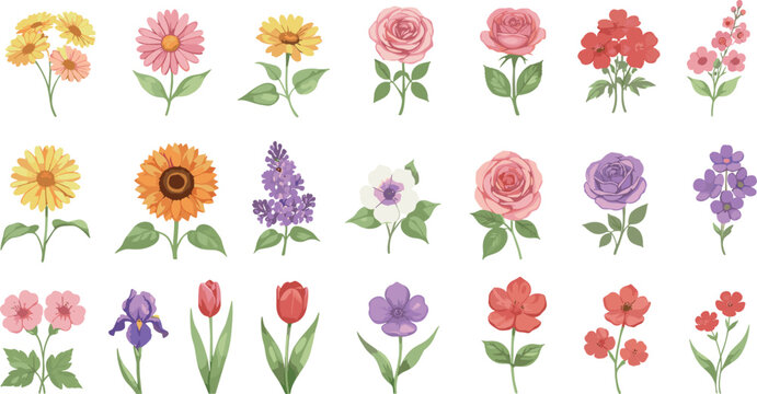 Set of colorful flat vector illustrations of garden flowers and wildflowers including roses tulips sunflowers and daisies for spring floral arrangements and wedding decor.