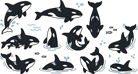 Cute cartoon orca vector illustration set with killer whale characters swimming breaching spyhopping and splashing in ocean water © Dulal creation 