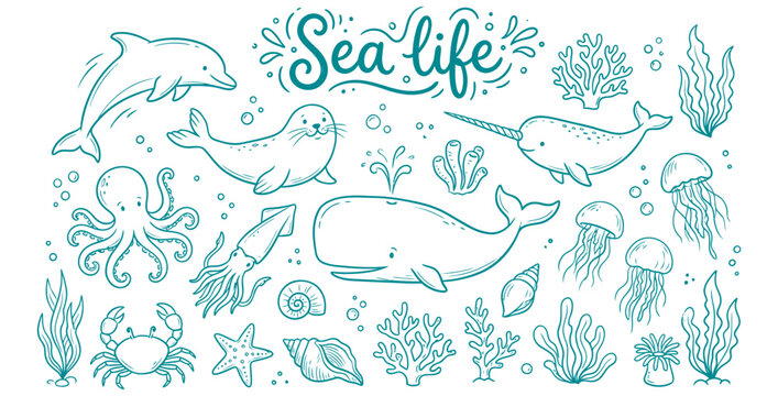 A delightful hand-drawn collection of various marine animals and sea life elements on transparent background