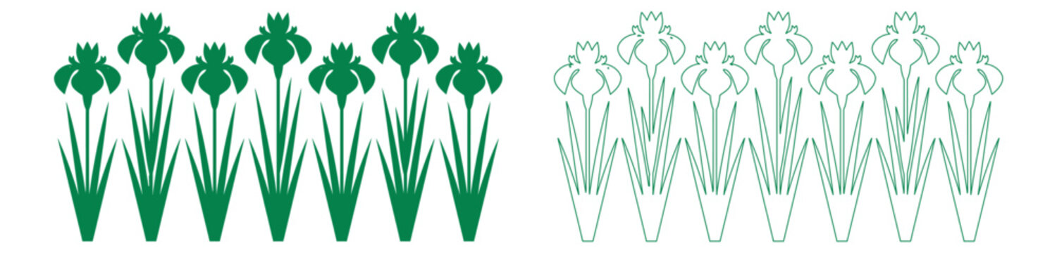 A stylized pattern of green iris flowers and leaves arranged in a row on transparent background