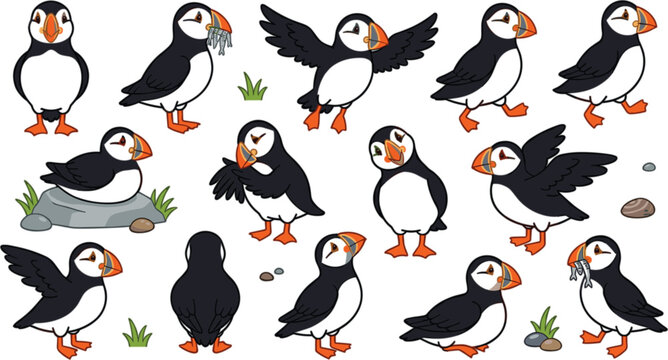 Atlantic puffin bird vector character set featuring cute puffins flying standing sitting and holding fish in beaks