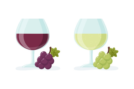 Red and white wine glasses with grape bunches vector illustration