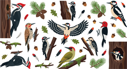Fototapeta premium Woodpecker bird vector set featuring various species on tree trunks flying with open wings feathers and forest pinecones
