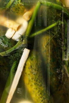 Close-up of fermenting dill pickles with addition garlic and horseradish.