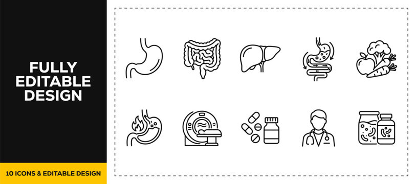 flat vector illustration line art icon bundle set design showcasing digestive system stomach organs intestines liver pancreas colon biology anatomy medical health care ui