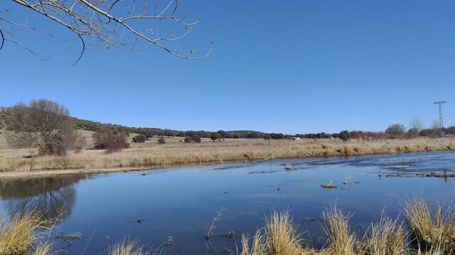 Scenic riverbank lined with leafless trees in winter