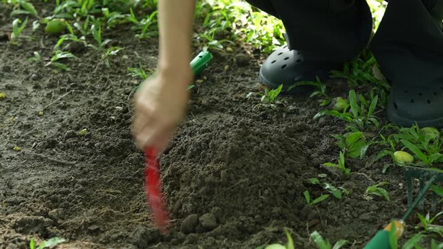 A gardener plants a young sapling in fertile soil with a shovel at sunrise, symbolizing sustainability, environmental protection, biodiversity, and a greener future.