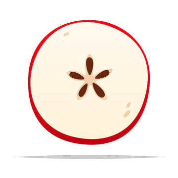 Round sliced apple vector isolated illustration