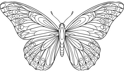 Intricate Decorative Butterfly Illustration with Ornamental Wings Hand Drawn Line Art © Songkari