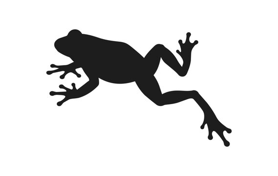 Silhouette of a leaping frog in motion.