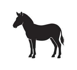 Fototapeta premium Silhouette of a Standing Zebra Animal.