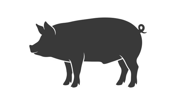 Silhouette of a Domestic Pig Facing Left.