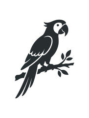 Fototapeta premium Silhouette of a Macaw Parrot Perched on a Branch.