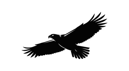 Fototapeta premium Majestic Eagle in Flight Silhouette Black and White.