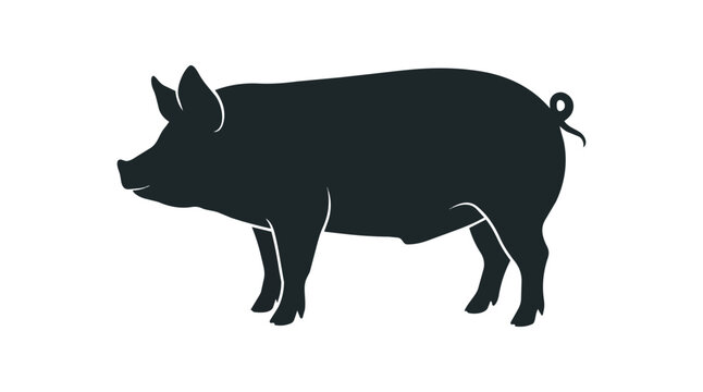 Silhouette of a Domestic Pig Standing Profile View.