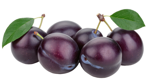 Group of ripe purple plums with green leaves and stems