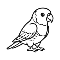 Fototapeta premium Cute parrot parakeet bird vector illustration in simple black and white outline style, Great for tropical or jungle-themed coloring activities, school projects, children's stickers