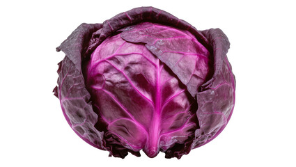 Obraz premium Whole red cabbage with vibrant purple leaves and visible veins