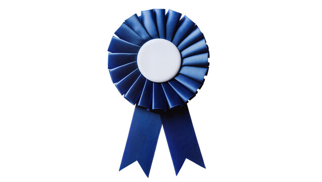 Blue rosette ribbon award with white center and streamers
