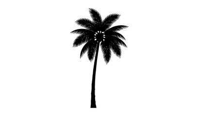 Obraz premium Black palm tree silhouette vector illustration isolated on white