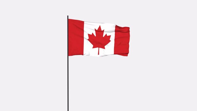 Canada Flag Animation 4K Transparent Background with Alpha Channel