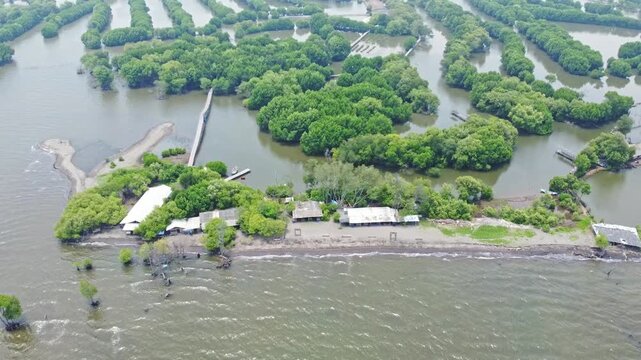 An aerial shot showing mangrove wetland and a modern urban cityscape with high-rise buildings and a highway. Great for projects on urbanization, real estate, Mangrove near city