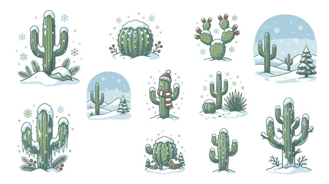 Collection of Various Cactus Plants.