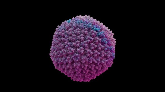 A seamless loop animation of Human Adenovirus 5 HAdV-5 capsid, Hetero 1260-mer , common cold and vaccine vector pathogen 3d render 10bit alpha.