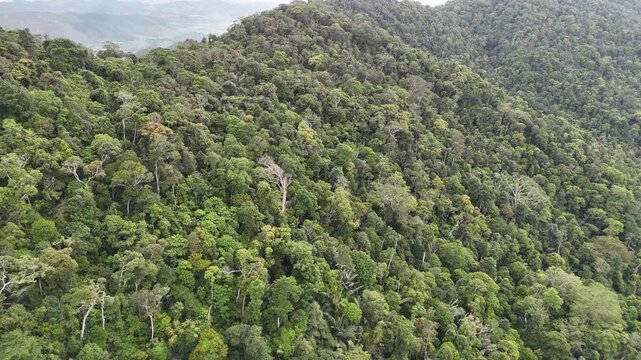 Drone footage captured over mountainous terrain in M'Drak District, Dak Lak, Vietnam. Filmed in the late afternoon, the drone flies diagonally along a mountain ridge covered with pristine natural fore