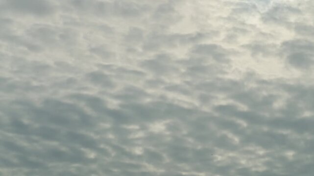 Detailed close-up of stratocumulus clouds displaying textured patterns across overcast sky. Atmospheric weather formation creating natural cloudscape backdrop with soft light and dramatic detail.