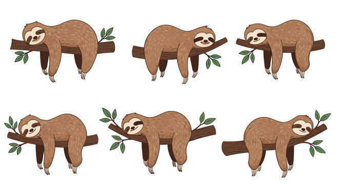 Collection of six adorable sloths sleeping in different positions on tree branches over white background for cute animal character design.