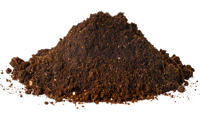 Pile of dark rich soil with visible organic matter