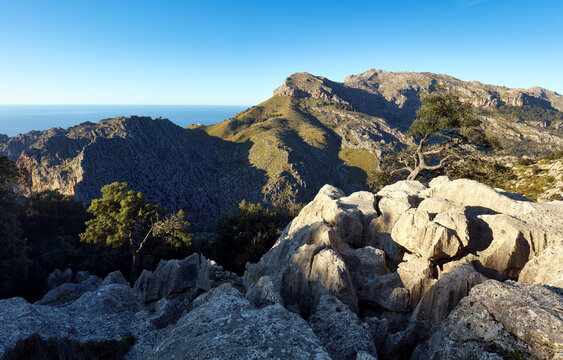 Forest - covered mountains at Mirador de s'Entreforc, Mallorca, Spain