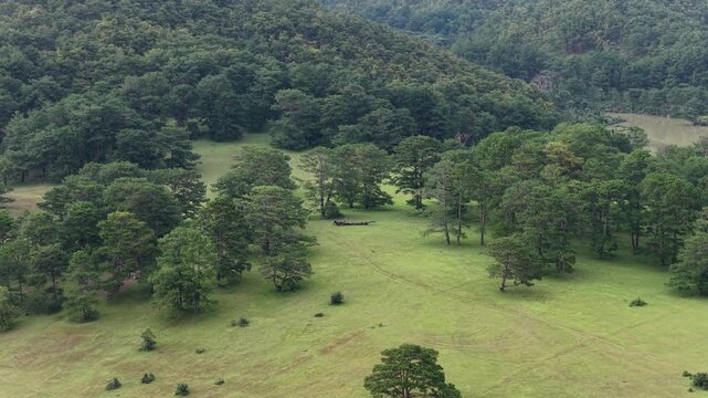 Telephoto drone footage captured near Suoi Vang Lake (Dankia Lake) in Lac Duong District, Lam Dong Province, Vietnam. Filmed with a 3x zoom lens from a different vantage point, the drone flies lateral
