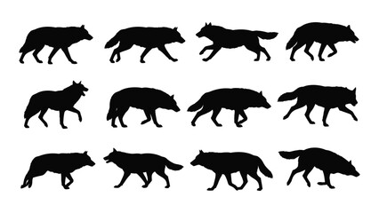 Black wolf silhouettes walking in different poses © Iftekhar