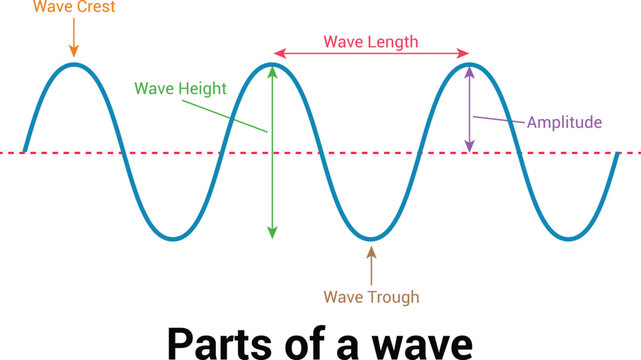 Parts of a Wave Diagram Showing Crest Trough Amplitude Wavelength and Wave Height