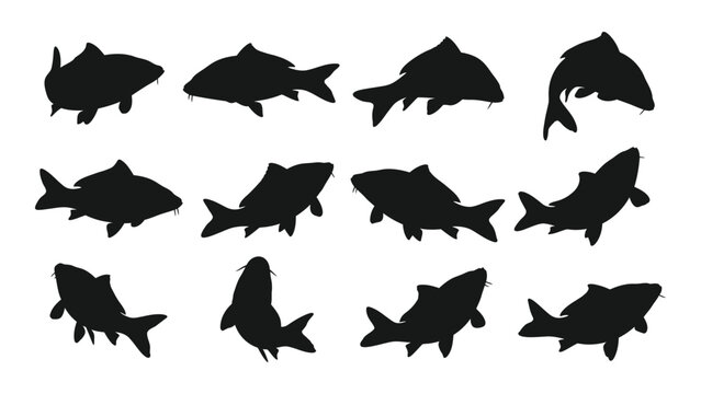 Black fish silhouettes on white background