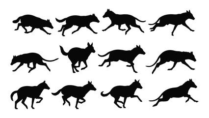 Obraz premium Black dog running silhouettes