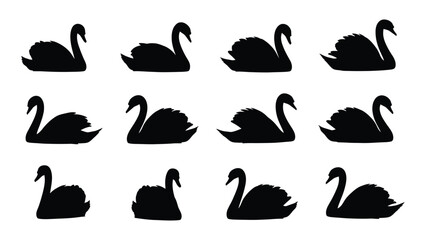 Black swan silhouettes in different poses © Iftekhar